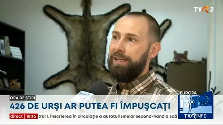 426 de ursi ar putea fi impuscati in scop de preventie