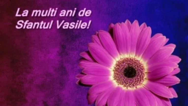 La Multi ani celor aproape 600.000 de romani care poarta numele Sfantului Vasile 