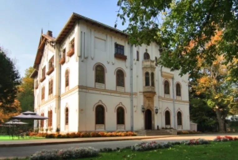 Lansarea Camerei de Comert si Industrie Romania - Austria va avea loc la Palatul Stirbey