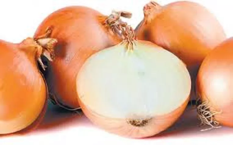 Leacuri din plante pentru vindecarea bataturilor de la picioare