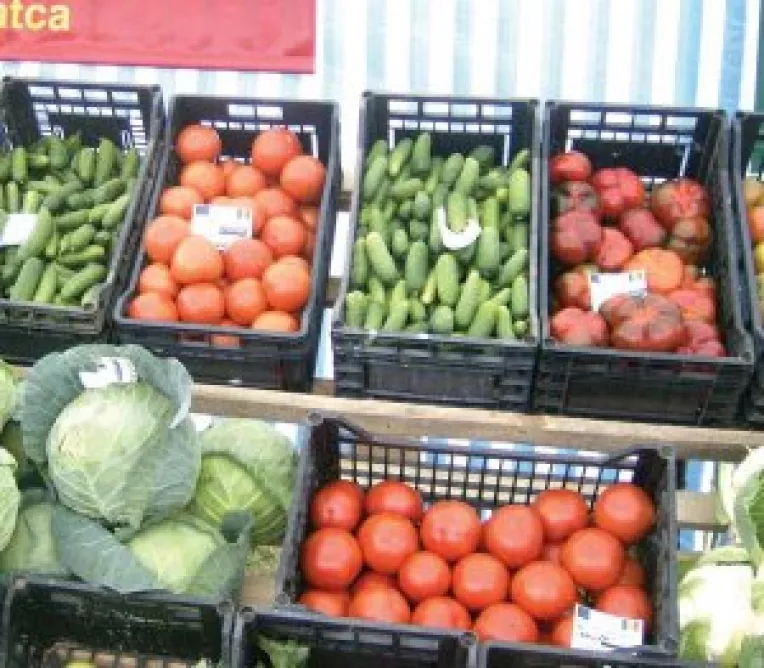 Liber la subventii pentru legumicultori