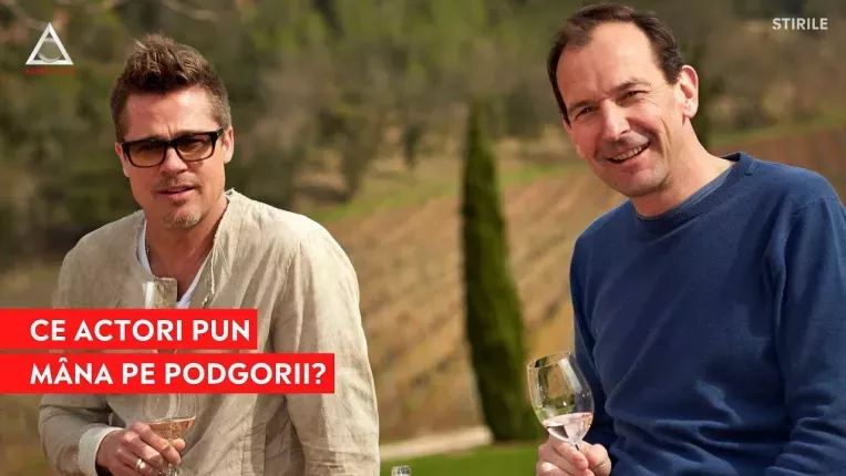 Lupta dintre Brad Pitt si Angelina Jolie pentru podgoriile Miramar a devenit faimoasa