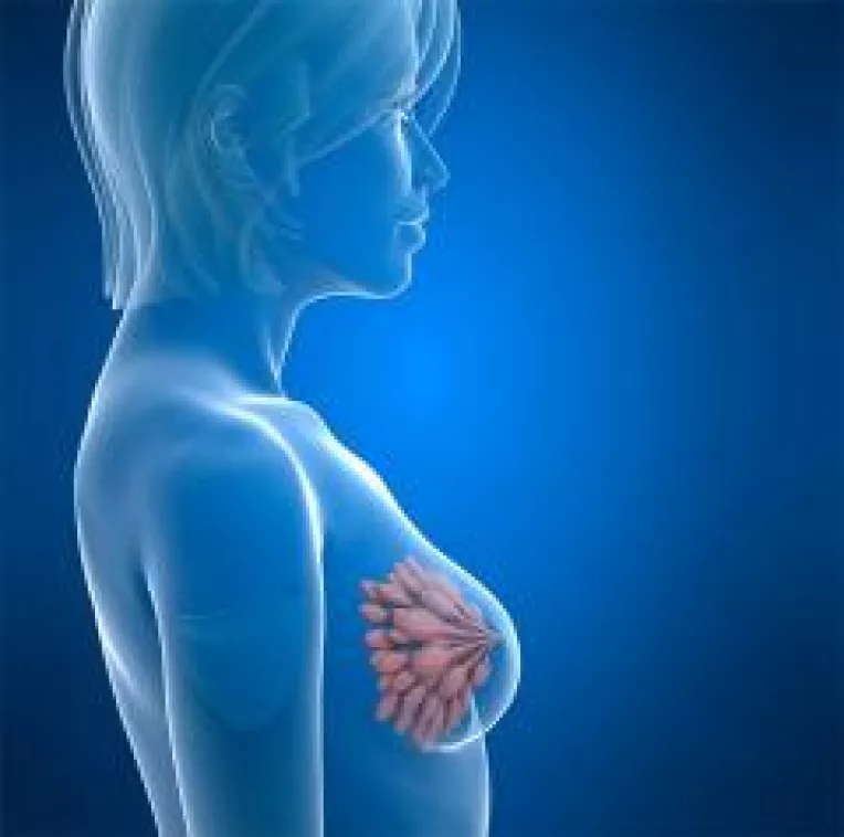 Magda Marincovici (Viata Sanatoasa) : O descoperire ce deschide calea spre noi terapii care sa impiedice evolutia tumorilor mamare