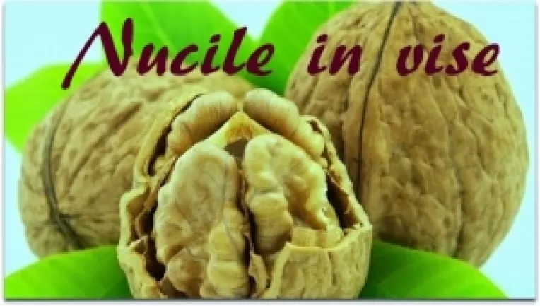 Nucile din vis - un semn de bine