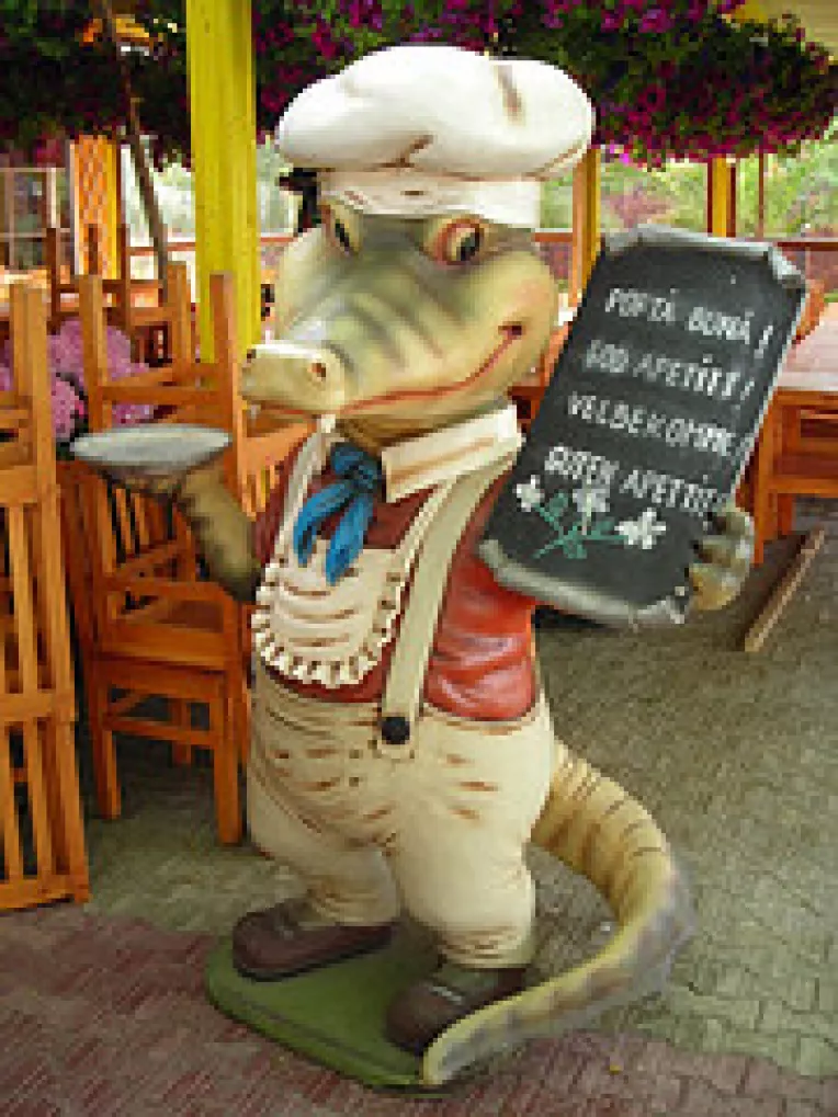 OPC pe litoral si in Delta. Iata unde se afla punctele de lucu ale inspectorilor