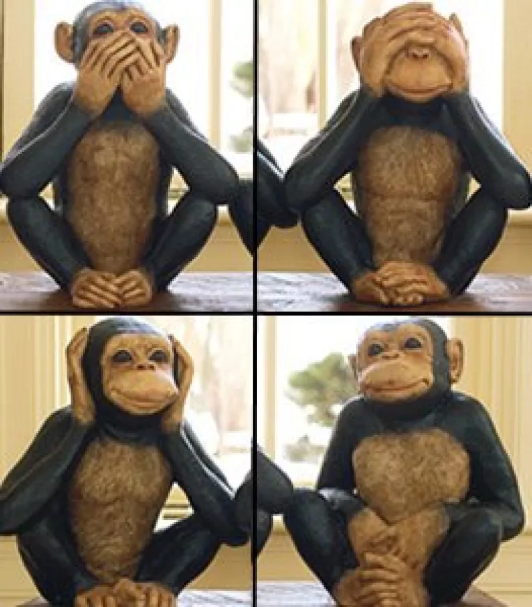 Romania: Fisuri in dictatura portocalie Basescu-Boc