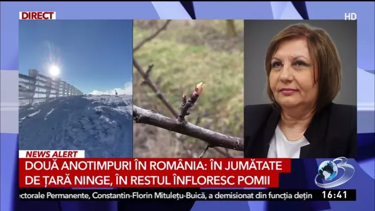 Romania, intre doua anotimpuri. ANM anunta prognoza meteo actualizata. Cum va fi vremea la munte.